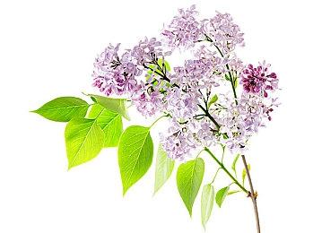 TGA 2022：《死亡细胞》联动《恶魔城》DLC 2023年S1上线